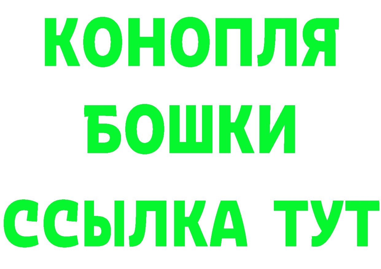 Canna-Cookies конопля как зайти это hydra Верхотурье